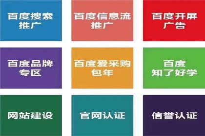 代理开户服务在海外投资中的应用案例